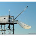 Carrelets sous le soleil (suite)