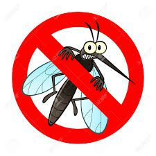 Alerte Moustiques et autres insectes (fourmis, pucerons, araignées, mouches...) 