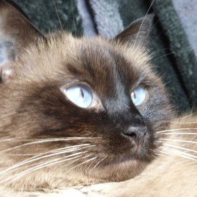 PARRAINAGE LA PARFUMERIE EUROPE 2015 Devenez