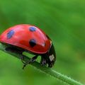 couleur nature