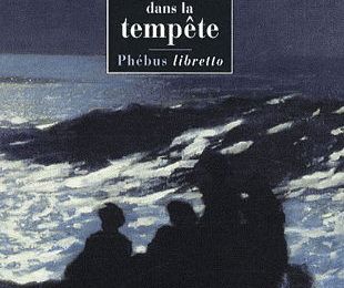 L'arche dans la tempête