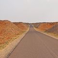 magique kgalagadi désert !