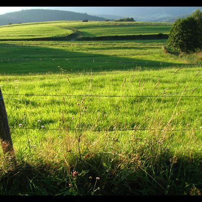 Vallée de Villé.