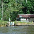 REMONTEE DU MARONI/VIREE SUR LE TAPANAONI (SURINAM)