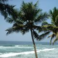 Varkala