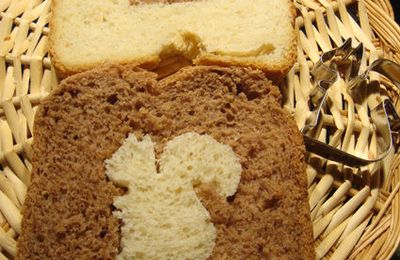 PAIN DE MIE TRES TRES MOELLEUX NATURE ET PAIN DE MIE TRES TRES MOELLEUX AU CACAO