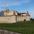 SUISSE - Château d'Aigle