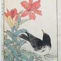 Imao Keinen 今尾景年 (1845 - 1924) . Keinen kachō gafu 景年花鳥画譜 . 1892 (Meiji 25)