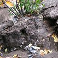 Vendredi soir à l'eau, la terre et le sable provenait d'ici...