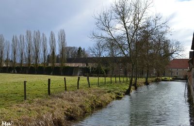 [Bourgogne] le long du canal de la Cent-Fonts...