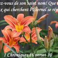 1 Chroniques 16 verset 10