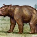 Diprotodon