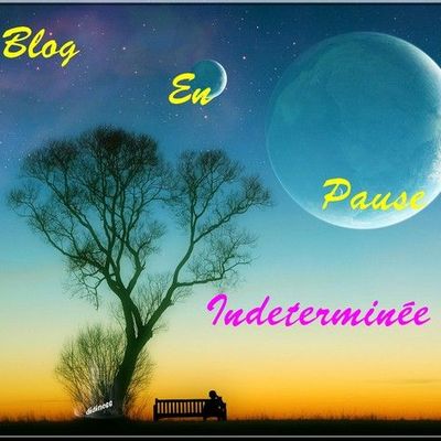 Blog en Pause