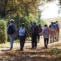 Sur le chemin du tacot suite: de ville sur Jarniou à Theizé