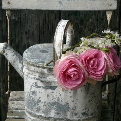 Gris et rose..... grey and pink....gris y rosa...... Inspiration
