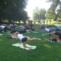 La parenthèse yoga vous propose une séance de yoga gratuite ce dimanche 21 août 2016 au Parc de la Citadelle à Strasbourg