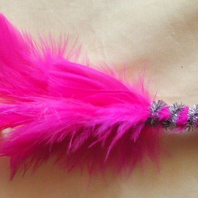 Déco plume