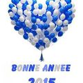 bonne année 2015