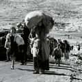 70 ans après la résolution 194, qu’en est-il du Droit au retour des Palestiniens réfugiés?