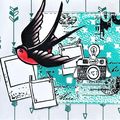 Pola Addict : L'hirondelle