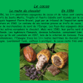 le cacao, en 1556