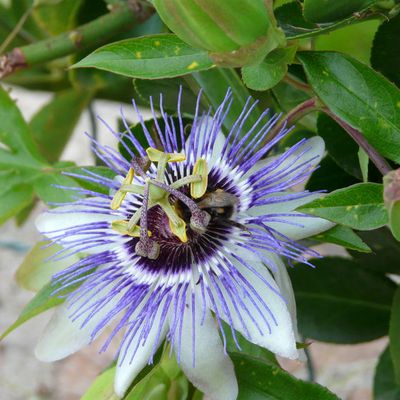 Pour motiver Maggy à poster ses photos de vacances