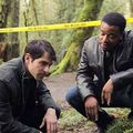 50 états, 50 billets... Grimm, le pilot (un petit retour de Samedi, c'est série)