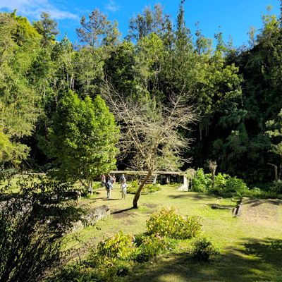  HELL-BOURG (Île de La Réunion) - Les anciens thermes de Salazie