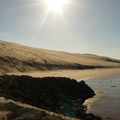 Dune du Pyla en hiver