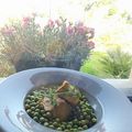 VEAU PETITS POIS CURCUMA AU COOKEO et dimanche 9 juin 2024