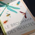 Lire en fête partout en Moselle ! Les ateliers "Le brouhaha des insectes"