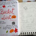 30 days of journaling: Thème 29 " Top 5 on Bucket list "