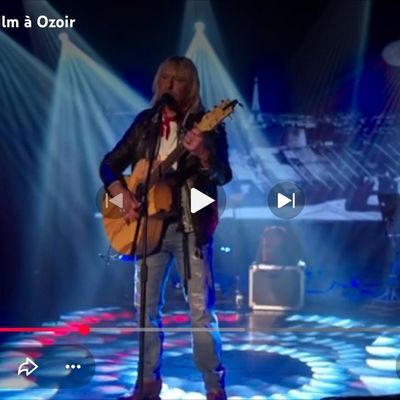 Concert Hommage à Renaud le samedi 22 Novembre à Ozoir