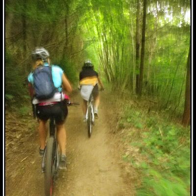 Vtt dans les Monts du Lyonnais
