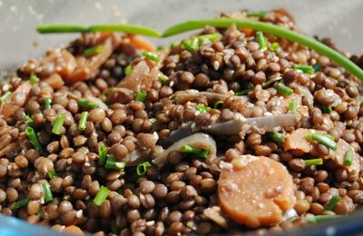 Salade de lentilles vertes aux carottes, ciboulette et huile essentielle de citron