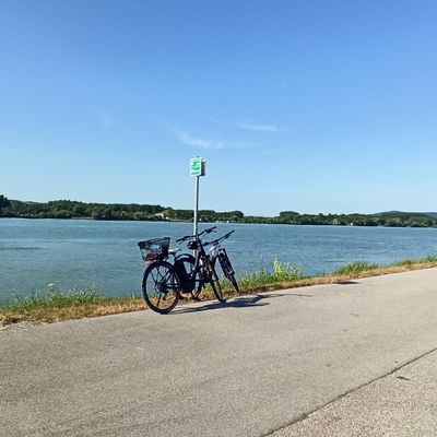 Bilan de notre expédition