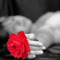 Una rosa in mano
