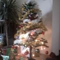 Mon beau sapin !!!