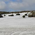 [Drôme] le plateau de Marquet sous la neige