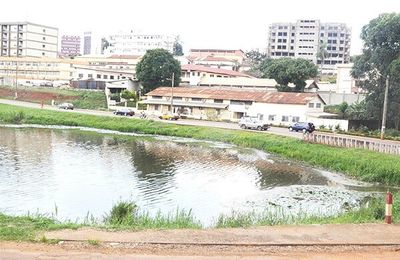  Aménagement du Lac municipal de Yaoundé: démarrage imminent 