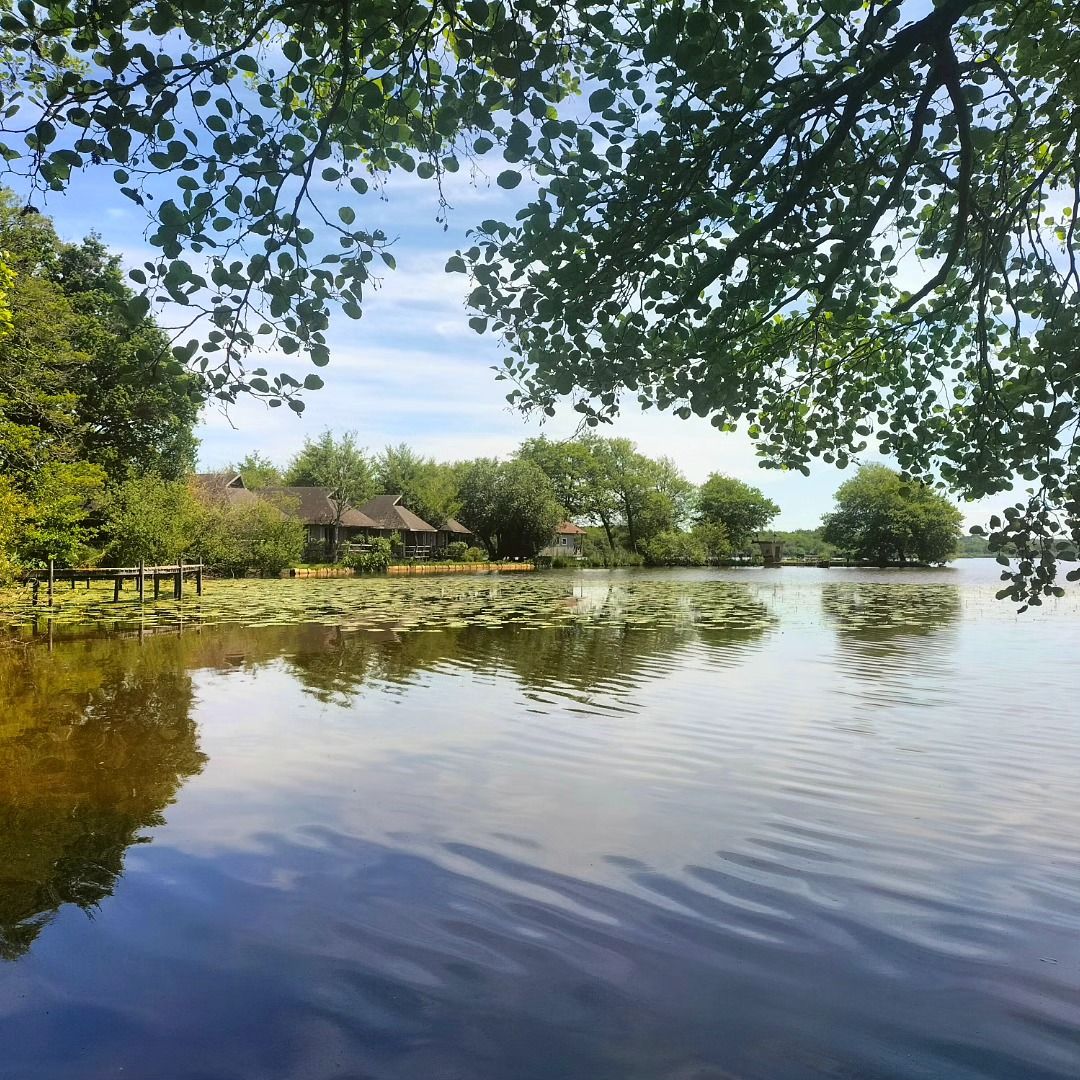 Azur, bord d'étang et camping, mai 2025, insta (40)