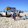 Expédition à Fraser Island
