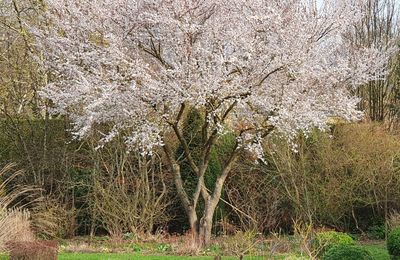 retour au printemps