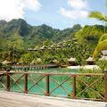 Escapade à Moorea 4 - Kuokoa