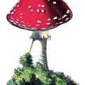 Champignons, gnomes et farfadets...