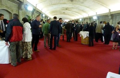 Médoc, Haut-Médoc et appellation Saint Estèphe- pimeurs 2011