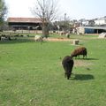 La Ferme Lemoine