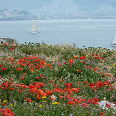 Escapade aux îles du Frioul