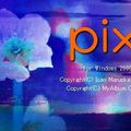Pixia version 4.1C