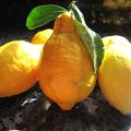 citrons confits à l'huile d'olive de Carpe Diem